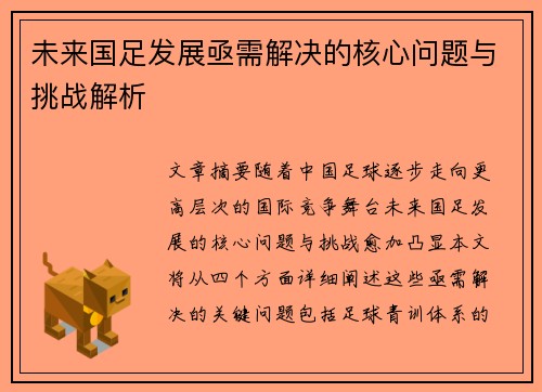 未来国足发展亟需解决的核心问题与挑战解析
