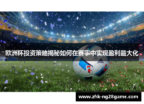 欧洲杯投资策略揭秘如何在赛事中实现盈利最大化