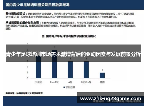 青少年足球培训市场需求激增背后的驱动因素与发展前景分析 青少年足球培训市场需求激增背后的驱动因素与发展前景分析