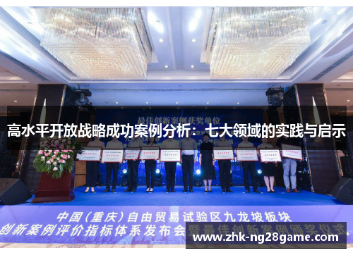 高水平开放战略成功案例分析:七大领域的实践与启示 高水平开放战略成功案例分析:七大领域的实践与启示